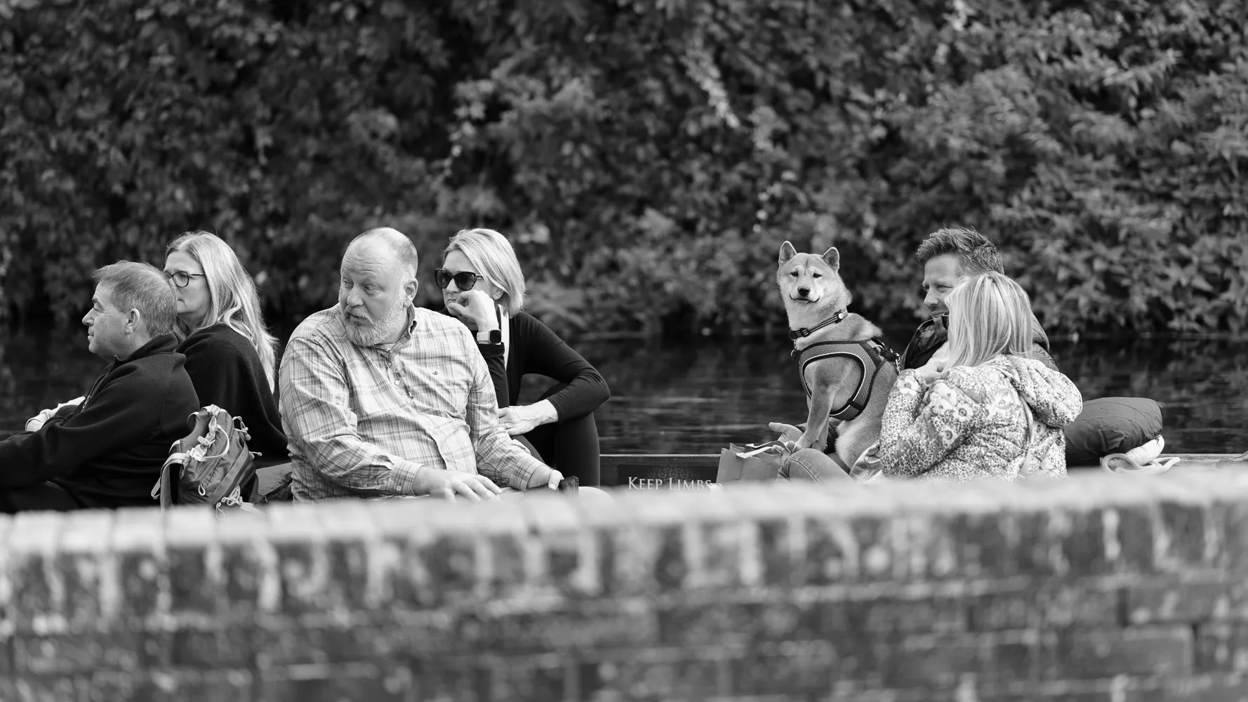 A boating dog looking at the camera