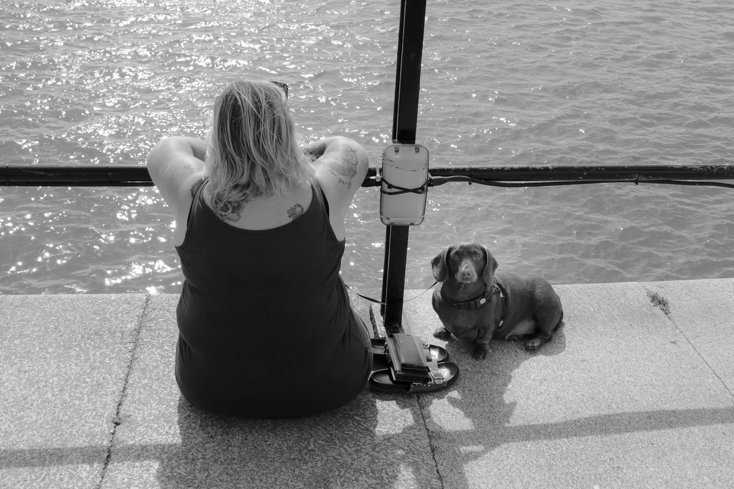A fat dog with its fat human by the water
