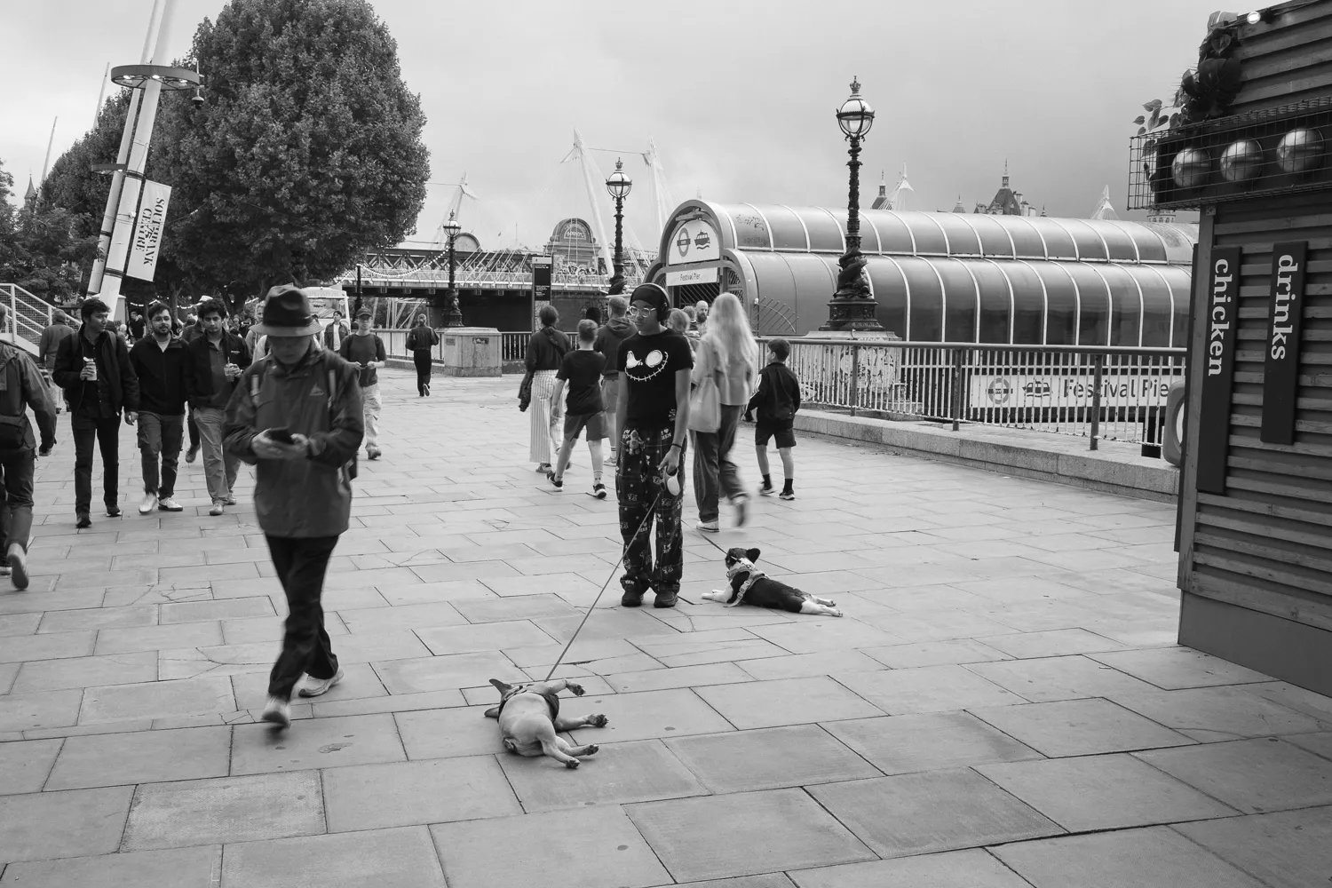 Dogs refusing to be walked on South Bank